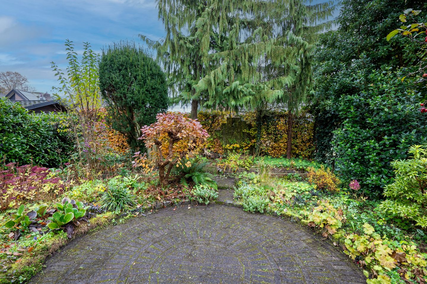 Foto 20 van Havikskruid 21