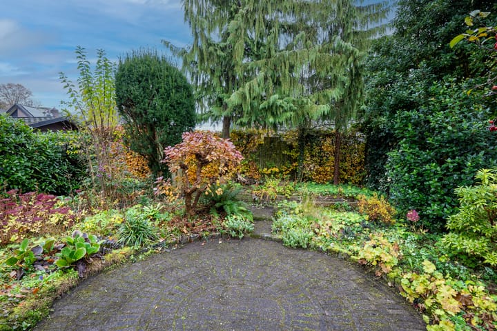 Foto 20 van Havikskruid 21