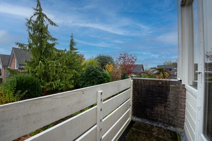 Foto 22 van Havikskruid 21