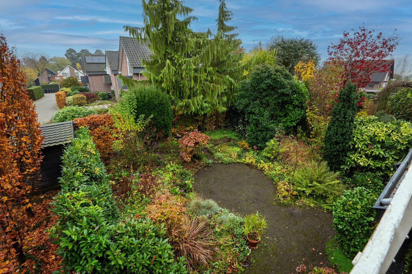 Foto 29 van Havikskruid 21