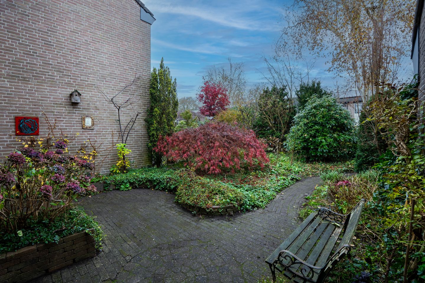 Foto 35 van Havikskruid 21