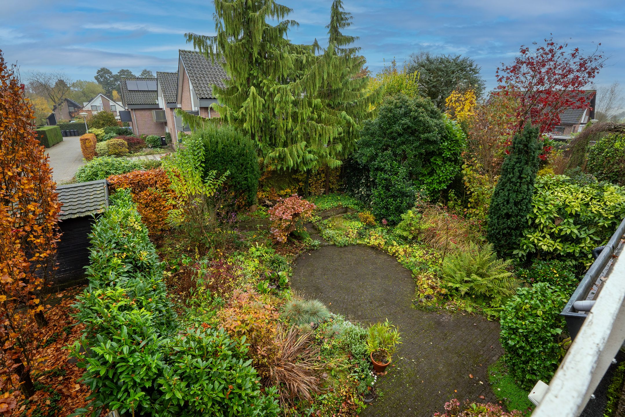 Foto 36 van Havikskruid 21