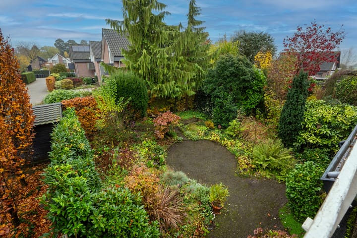 Foto 36 van Havikskruid 21