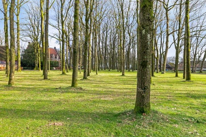 Foto 50 van Brink 22