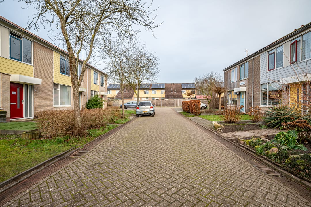 Foto 26 van Stofakkers 46