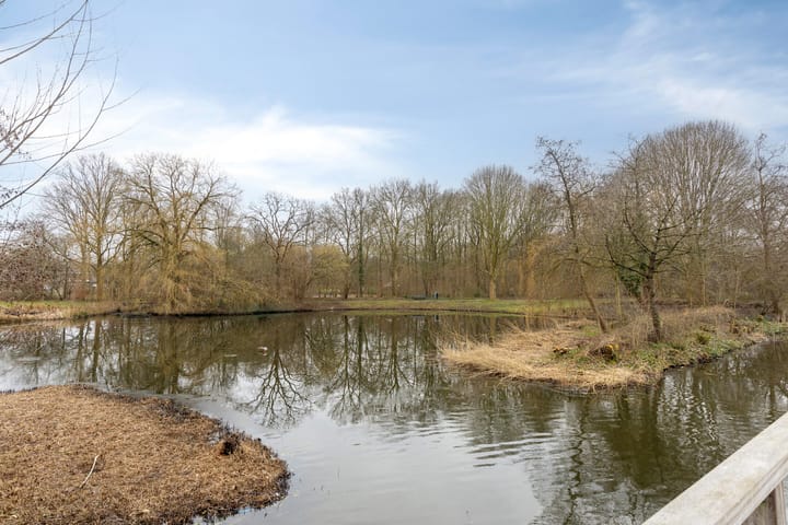 Foto 24 van Merelstraat 95