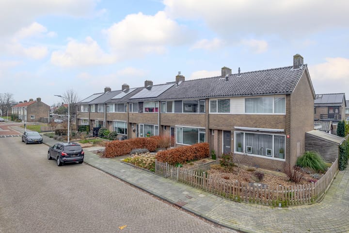 Foto 5 van De Geeuw 13