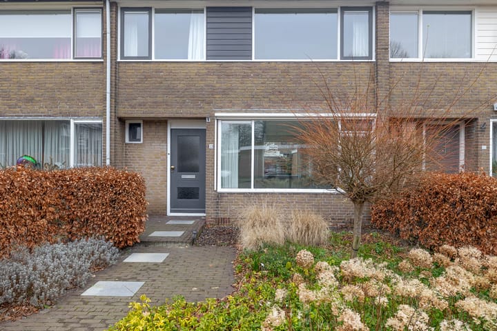 Foto 7 van De Geeuw 13