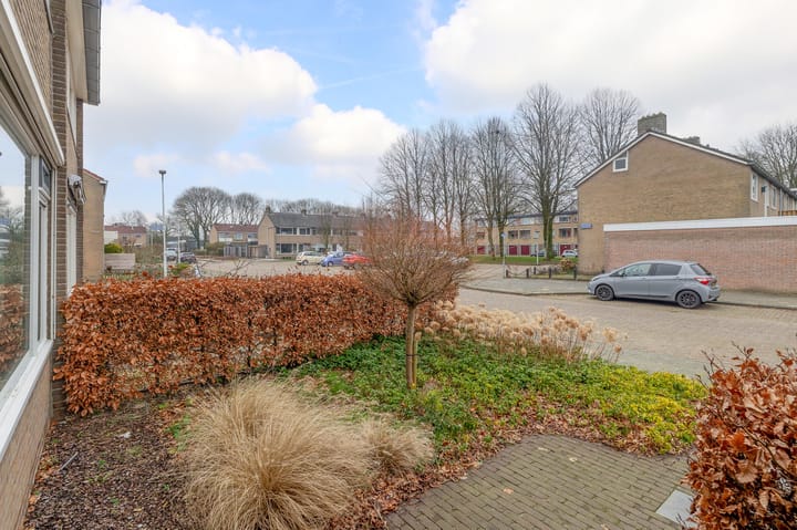 Foto 8 van De Geeuw 13