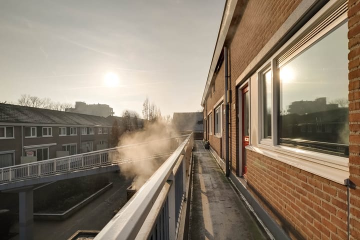 Foto 37 van Boogschutter 65