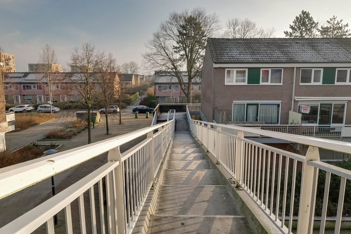 Foto 38 van Boogschutter 65