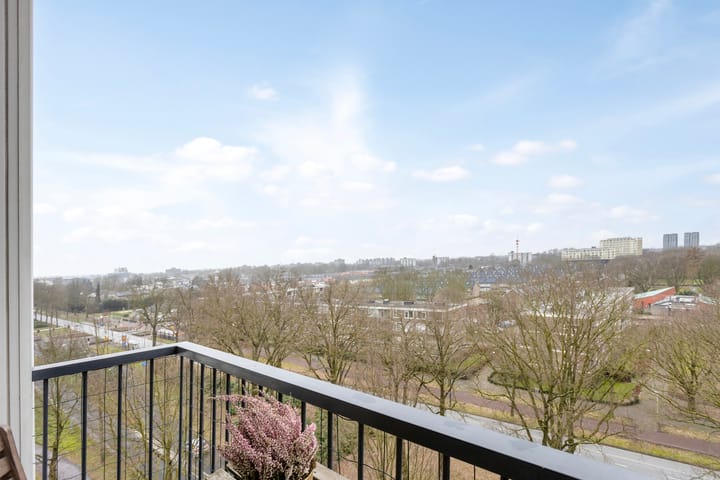 Foto 14 van Pisanostraat 204