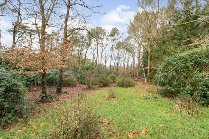 Photo 59 of Roosendaalsebaan 19