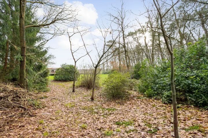 Photo 60 of Roosendaalsebaan 19