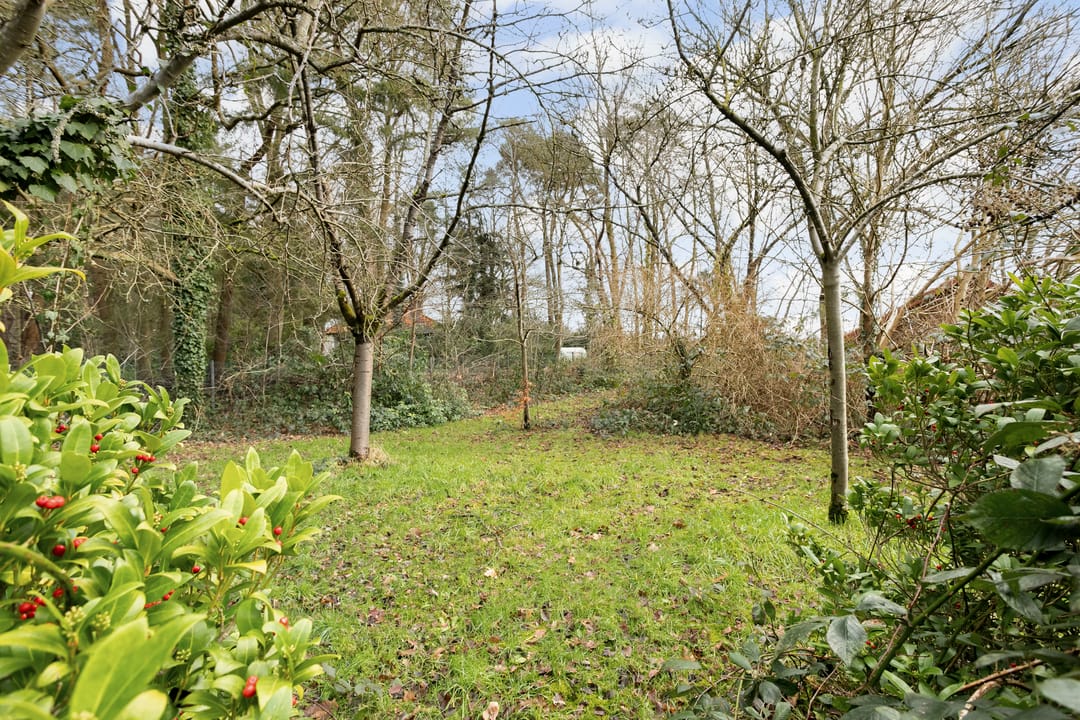 Foto 62 van Roosendaalsebaan 19