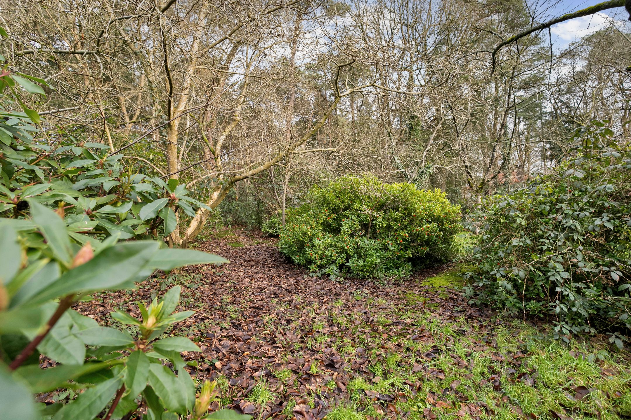 Foto 63 van Roosendaalsebaan 19