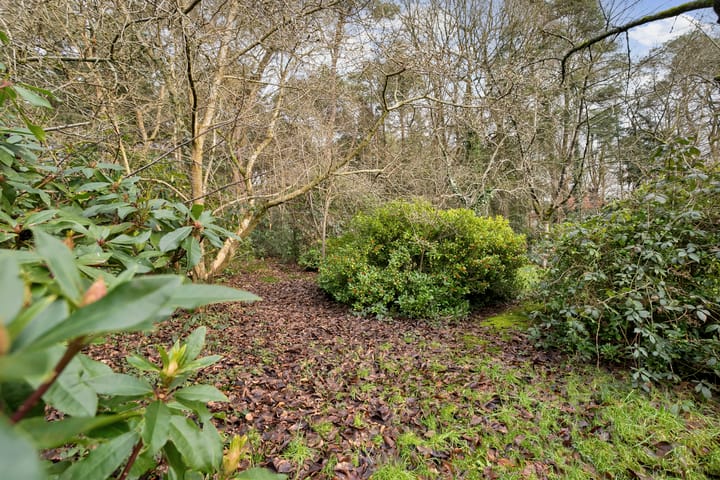 Photo 63 of Roosendaalsebaan 19