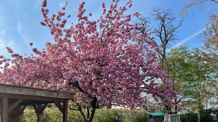 Foto 48 van Grotestraat 43