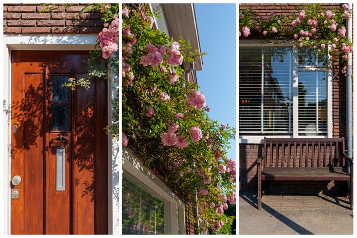 Foto 9 van Morelstraat 50