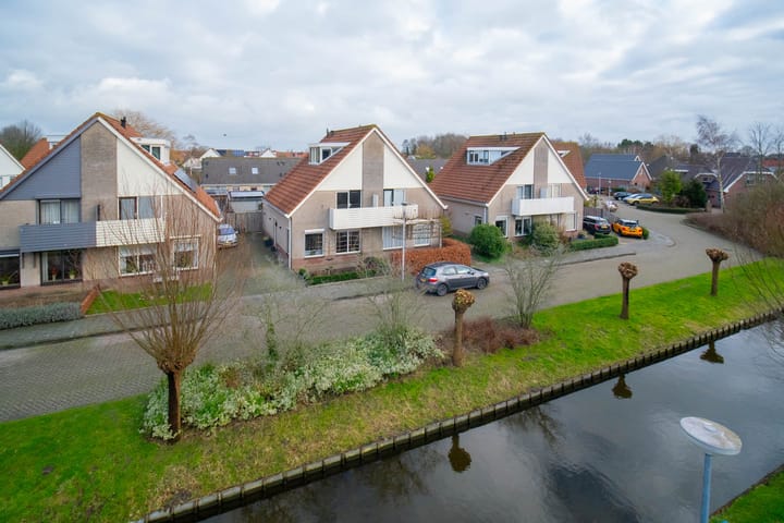 Foto 2 van Scholekster 5