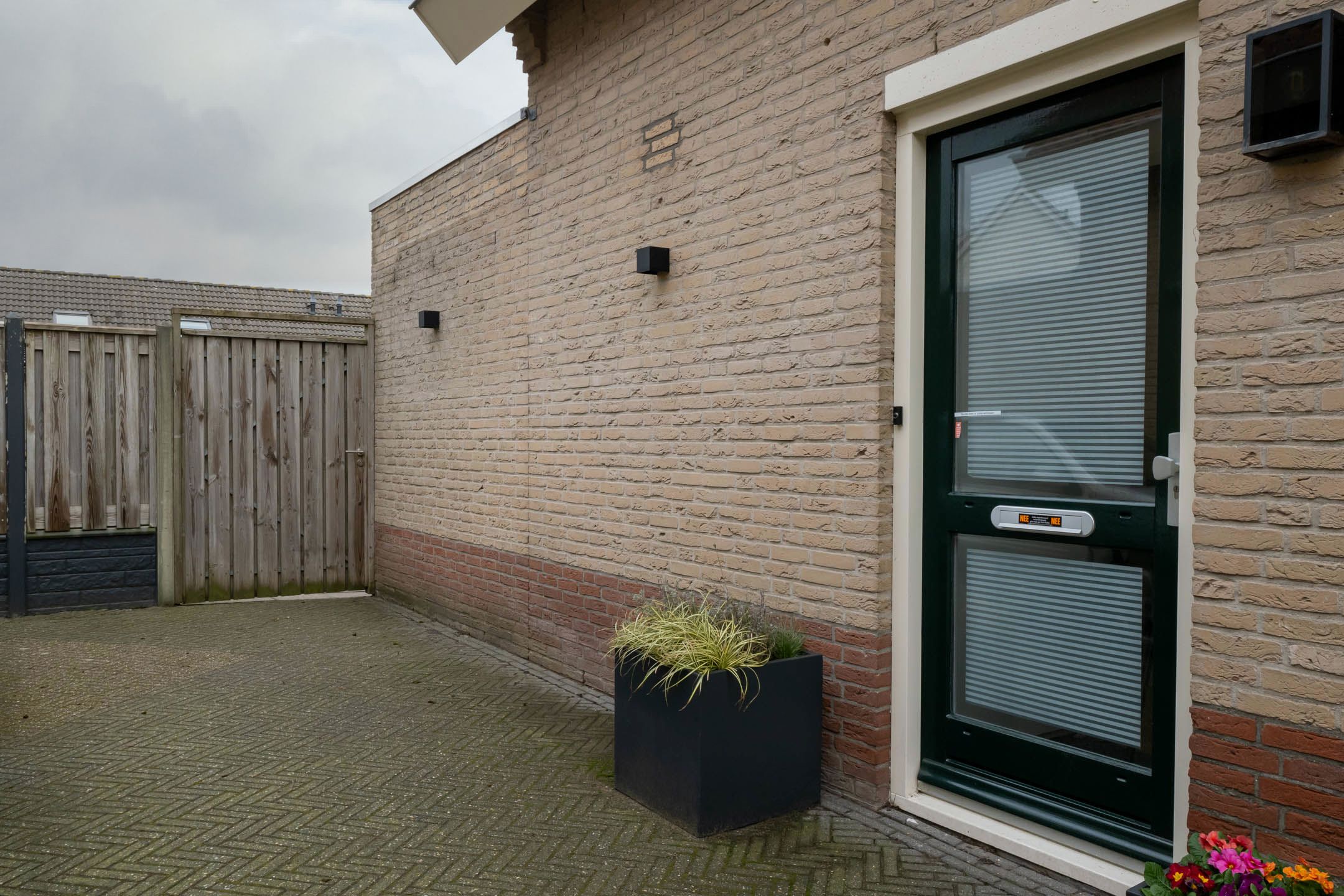 Foto 6 van Scholekster 5