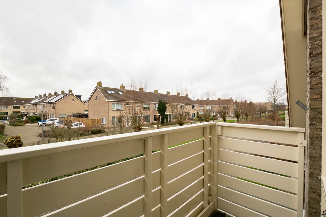 Foto 28 van Scholekster 5