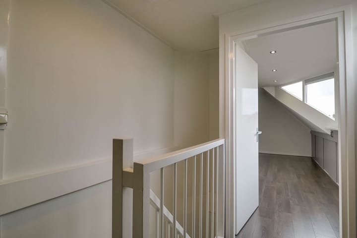 Foto 43 van Scholekster 5