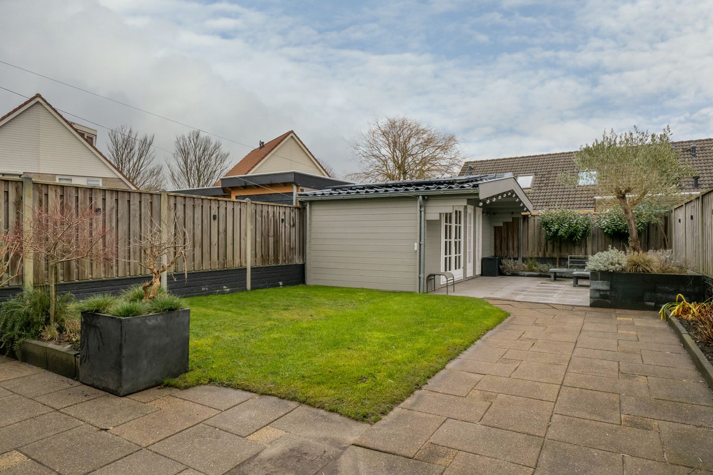 Foto 49 van Scholekster 5