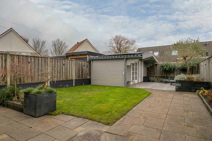 Foto 49 van Scholekster 5