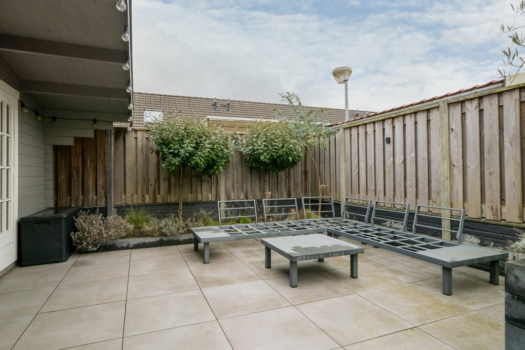 Foto 53 van Scholekster 5