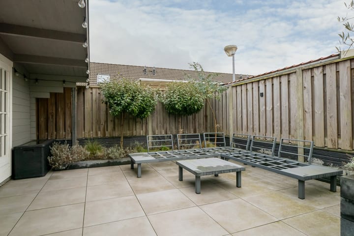 Foto 53 van Scholekster 5