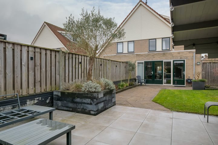 Foto 54 van Scholekster 5