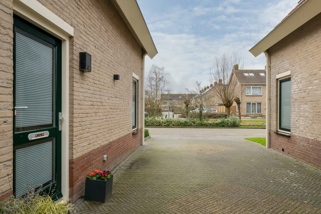 Foto 56 van Scholekster 5