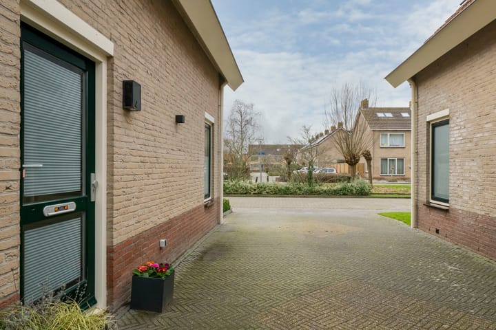 Foto 56 van Scholekster 5