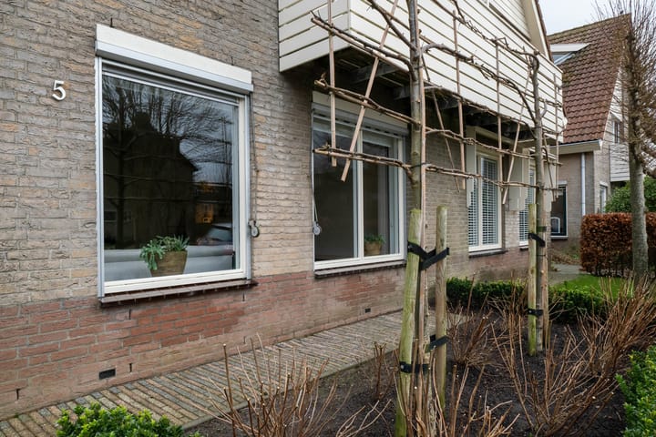 Foto 57 van Scholekster 5