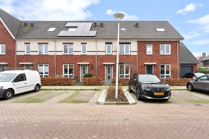 undefined main image