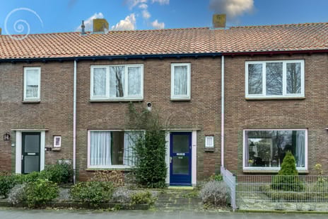 undefined main image