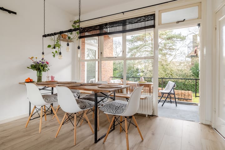 Foto 3 van Johan Willem Frisolaan 13