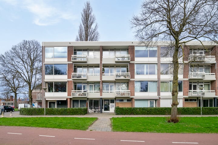 Bekijk foto van Tilburgseweg-Oost 41
