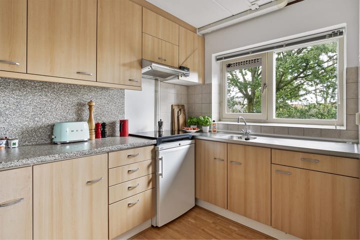 Foto 9 van Schipbeek 1