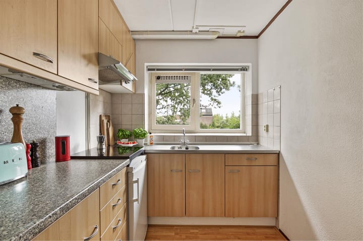 Foto 14 van Schipbeek 1