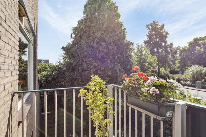 Foto 29 van Schipbeek 1