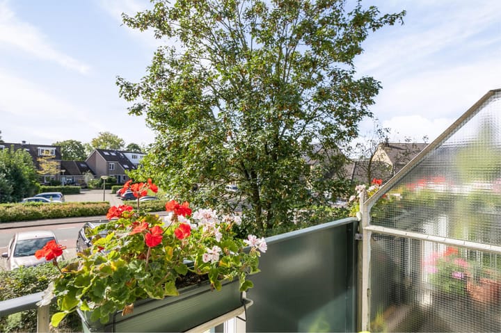 Foto 30 van Schipbeek 1