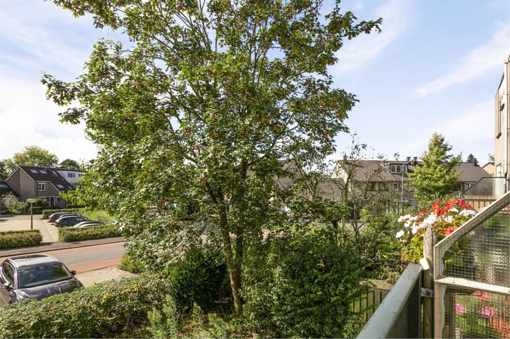 Foto 33 van Schipbeek 1