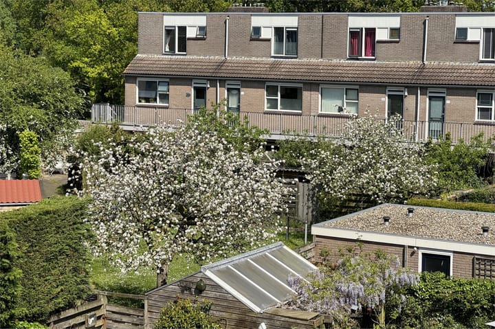 Foto 39 van Schipbeek 1