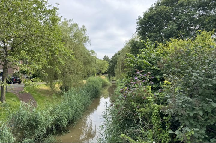 Foto 41 van Schipbeek 1