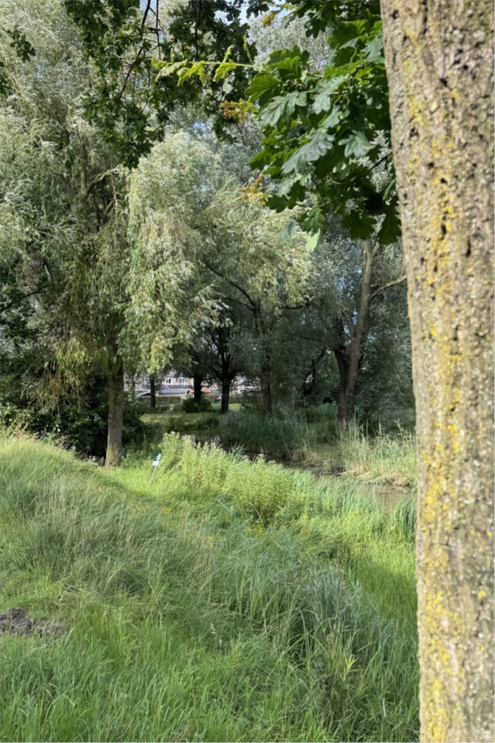 Foto 42 van Schipbeek 1