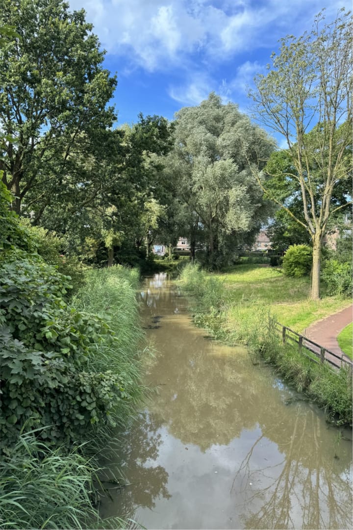 Foto 43 van Schipbeek 1