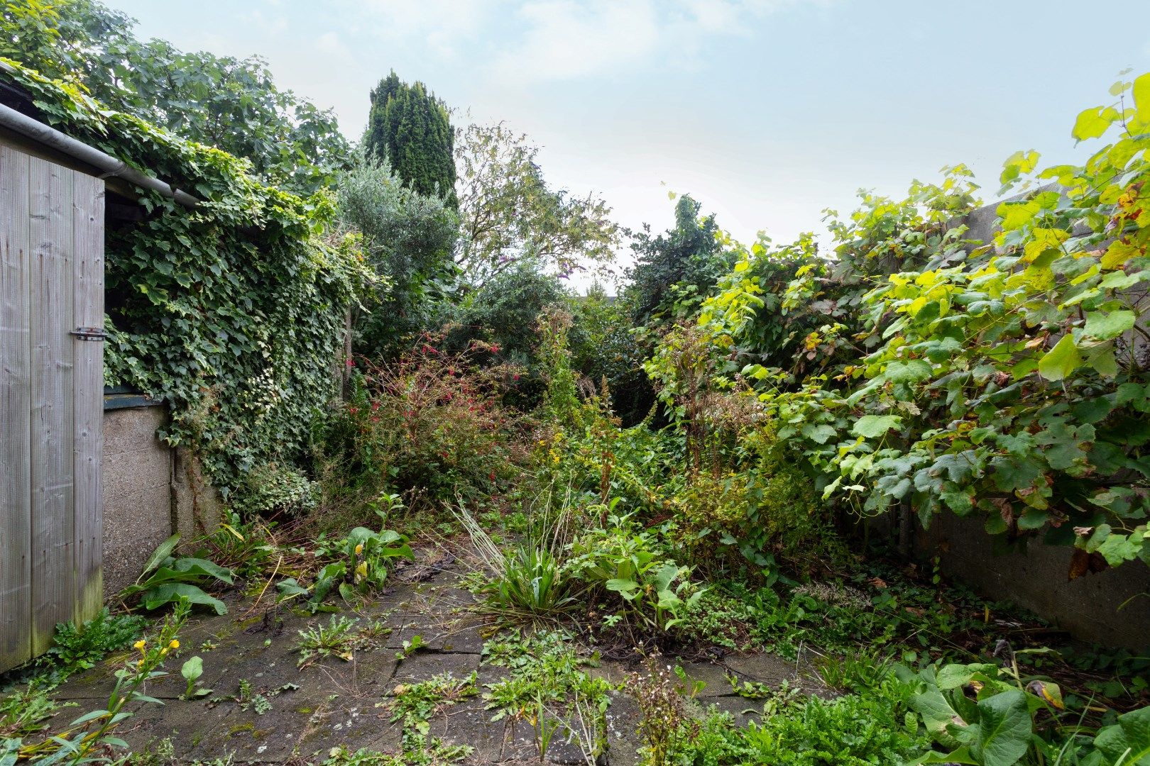 Foto 24 van Lange Nieuwstraat 141