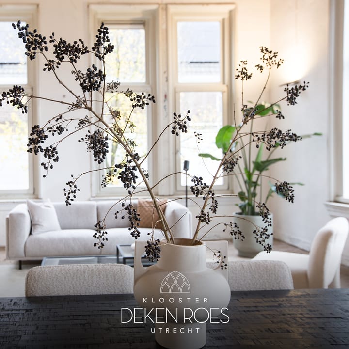 Foto 4 van Deken Roesstraat 15